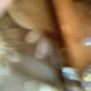 Meet your Posher, Phyllis